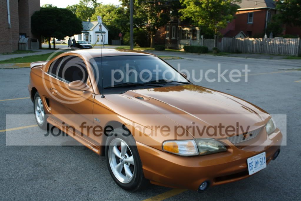 Mystang.jpg