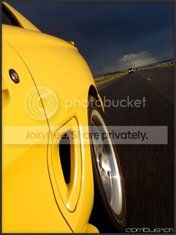 yellowshot3.jpg