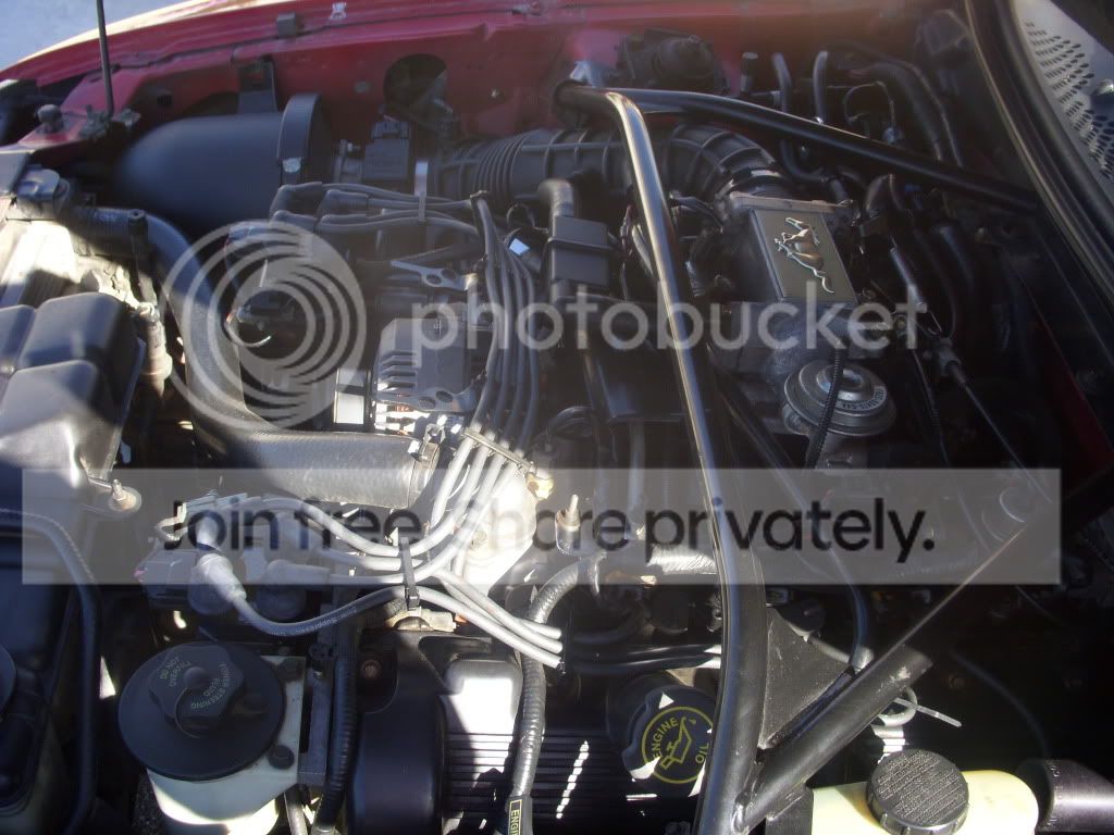 DSCN1038.jpg