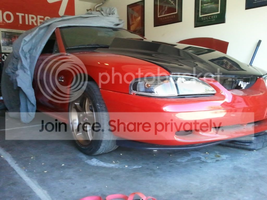 2011-05-20081225.jpg