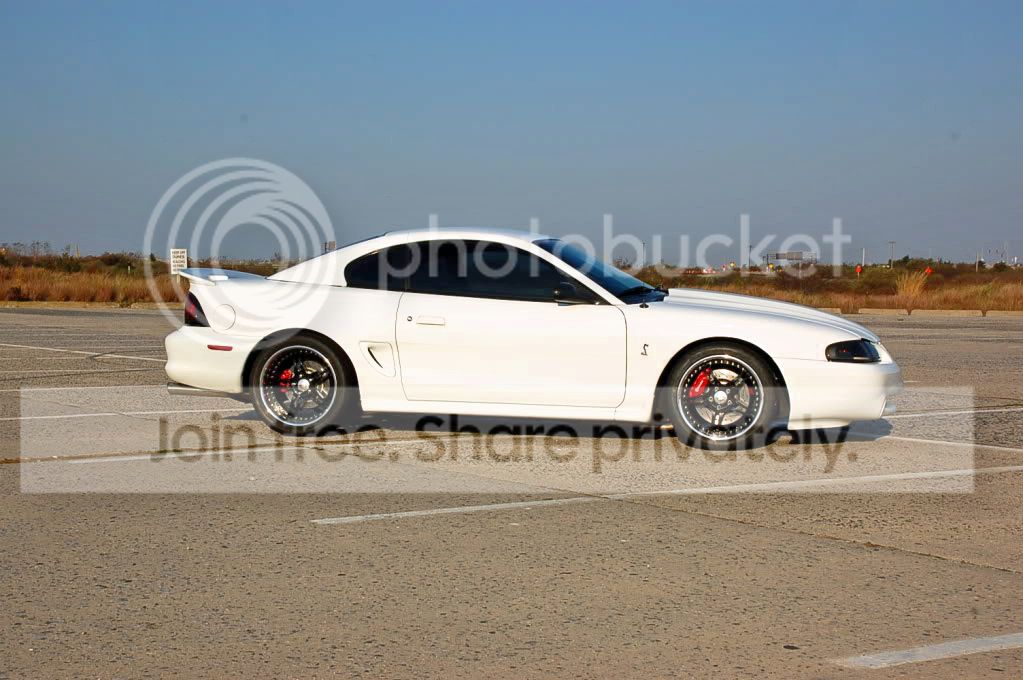 DSC_0336-1_edited.jpg