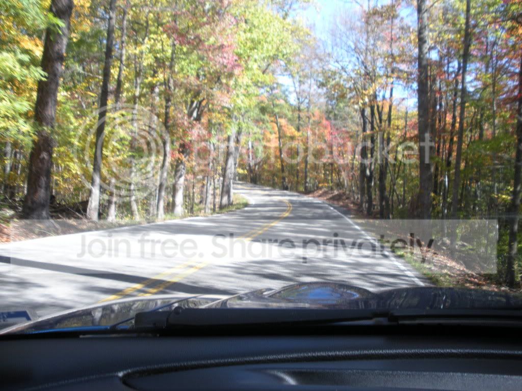 OCT055.jpg