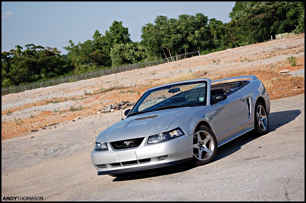 Mustangshoot4.jpg