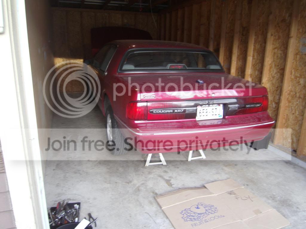 SANY0005_zpscfcf27cd.jpg