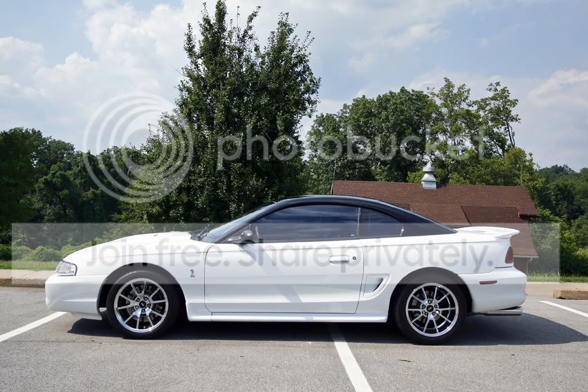 mustang2.jpg