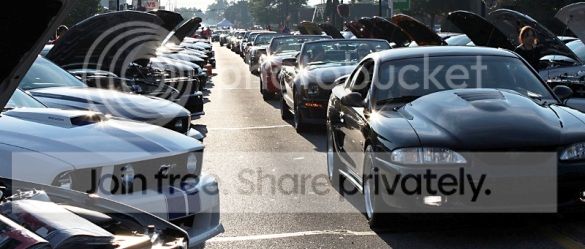 article_122_zps5e7dda8f.jpg