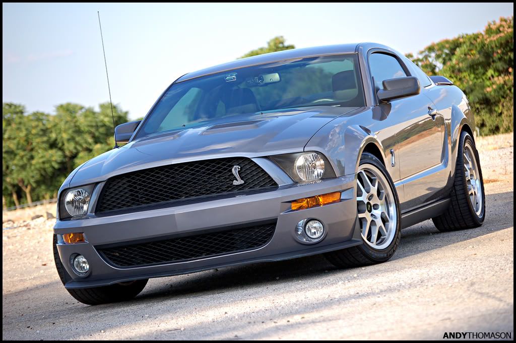 Mustangshoot35.jpg