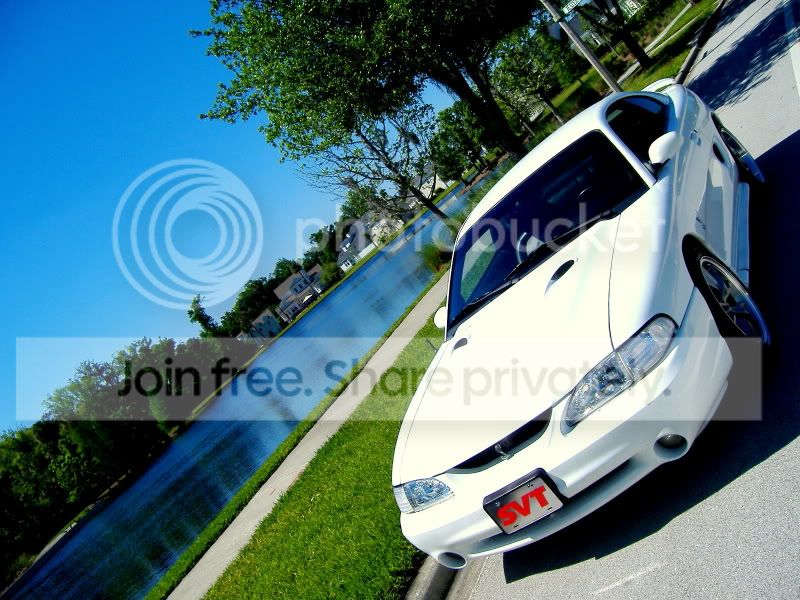 Cobra_Shoot4-6-11012.jpg