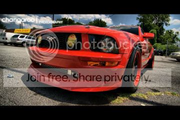 mustang13vv.jpg