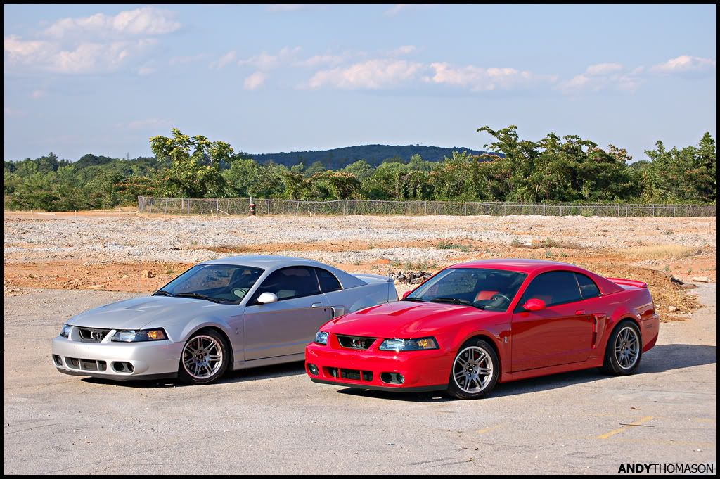 Mustangshoot16.jpg