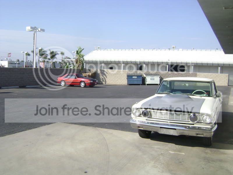 somepics009.jpg