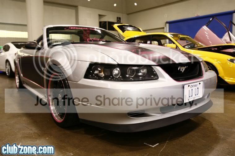 MUSTANG.jpg