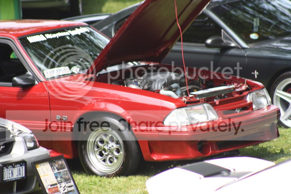 Picture057.jpg