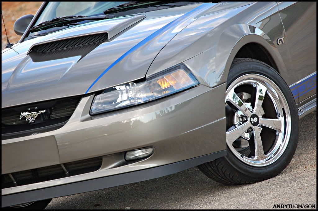 Mustangshoot51.jpg
