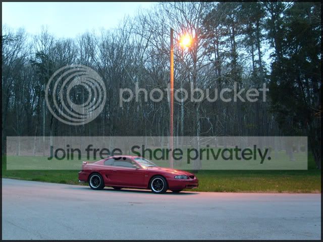 stang011.jpg