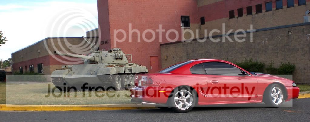 Stang10.jpg