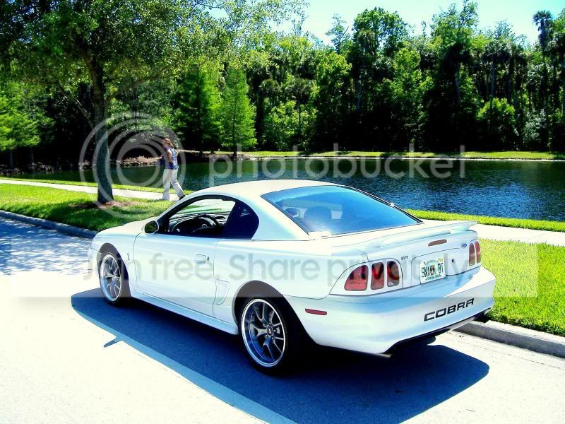Cobra_Shoot4-6-11011.jpg