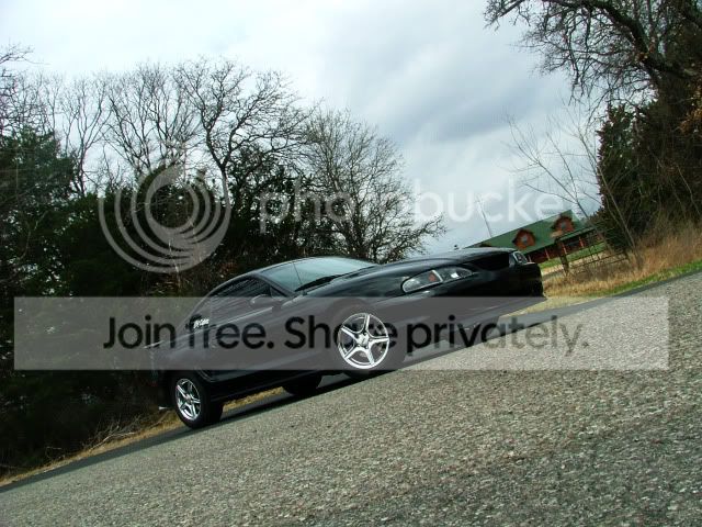 DSCF2908.jpg