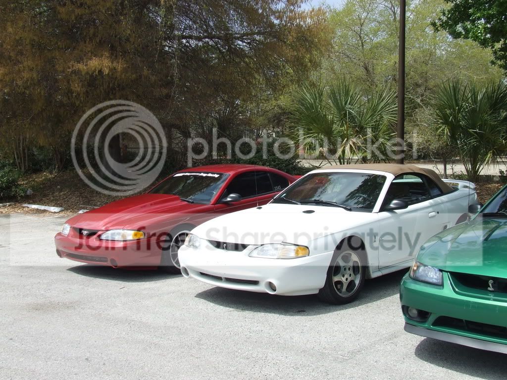DSCF6091.jpg