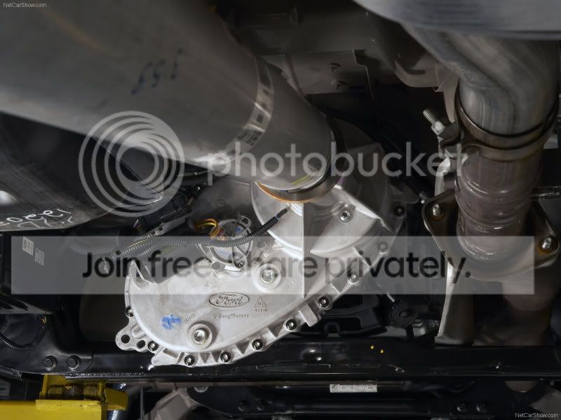 raptor41.jpg