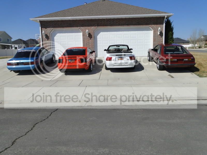 Mustangs4wide.jpg