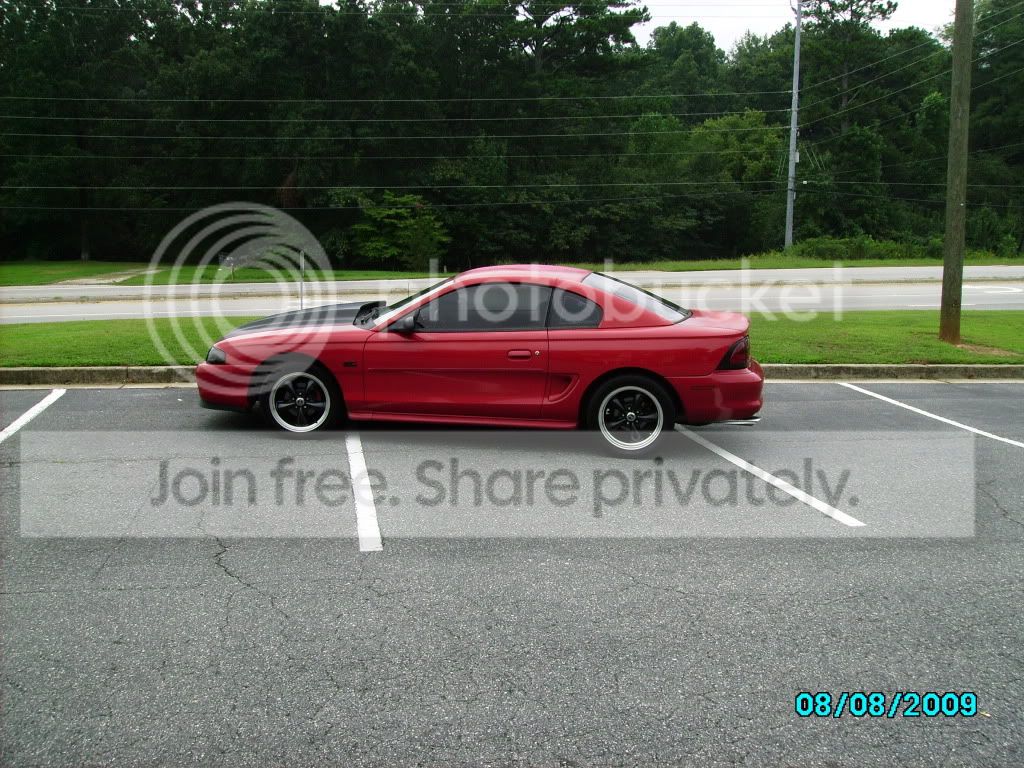 wingless2013.jpg