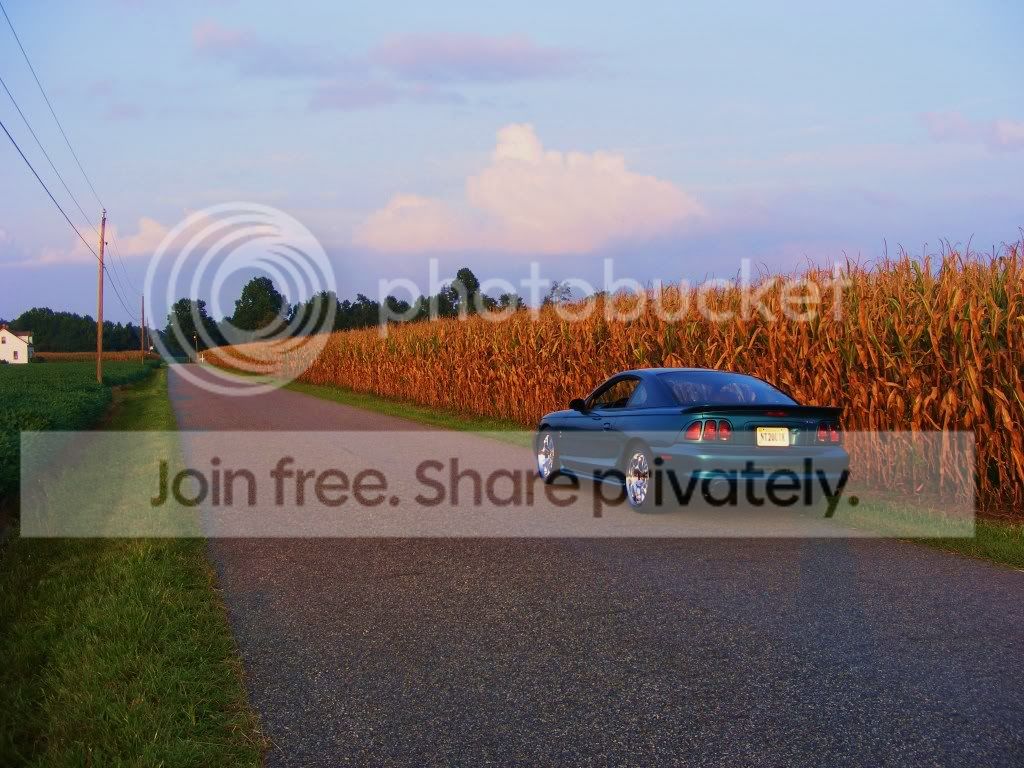DSCF6946.jpg
