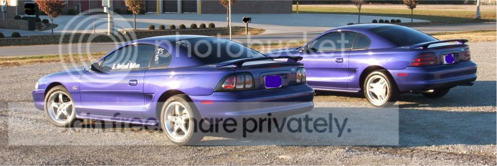 picsNov142010010.jpg
