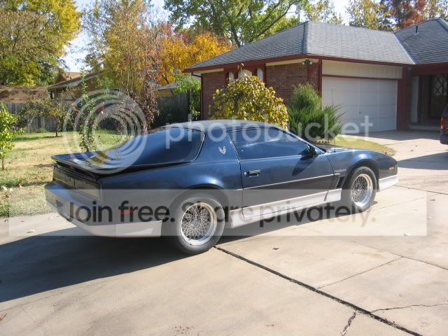 Firebird2.jpg