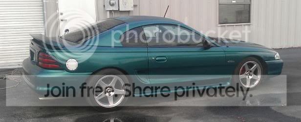 mustang1.jpg