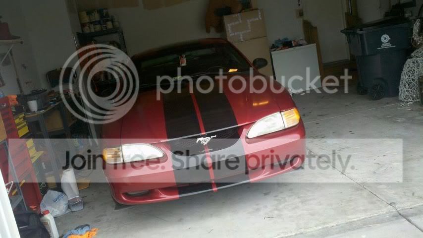 MYMUSTANG4.jpg