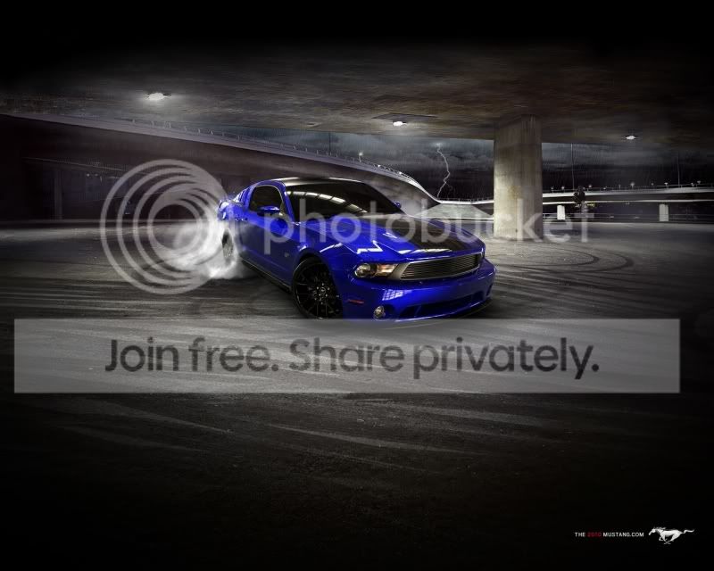 Mustang.jpg