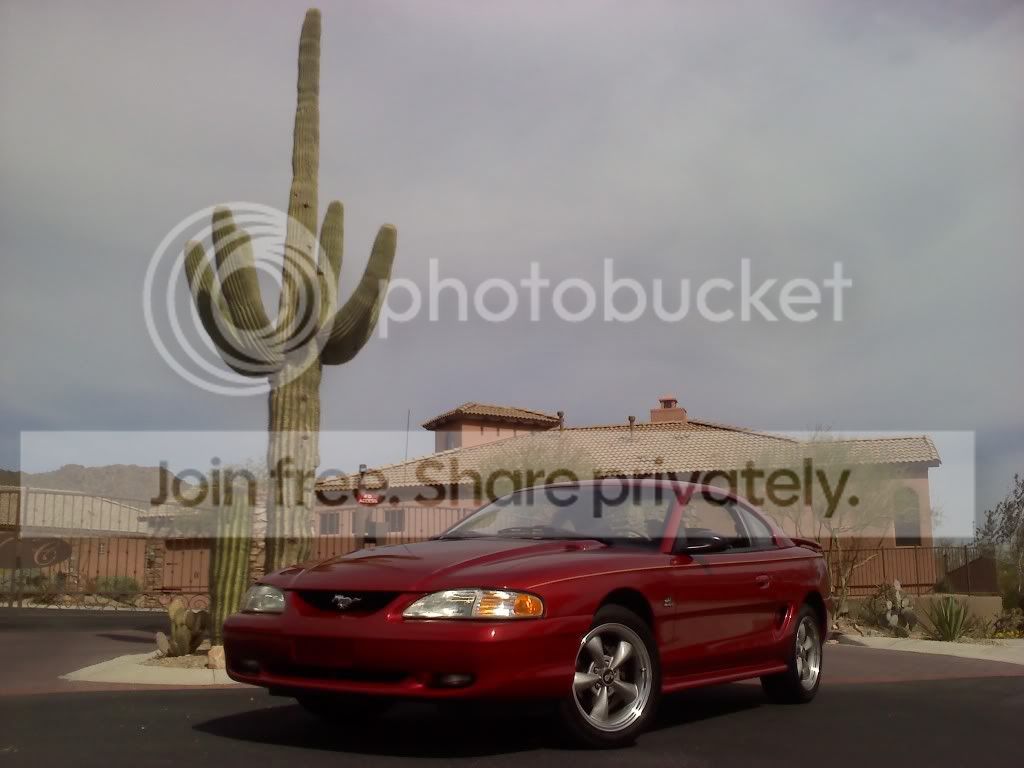 Mustang1.jpg