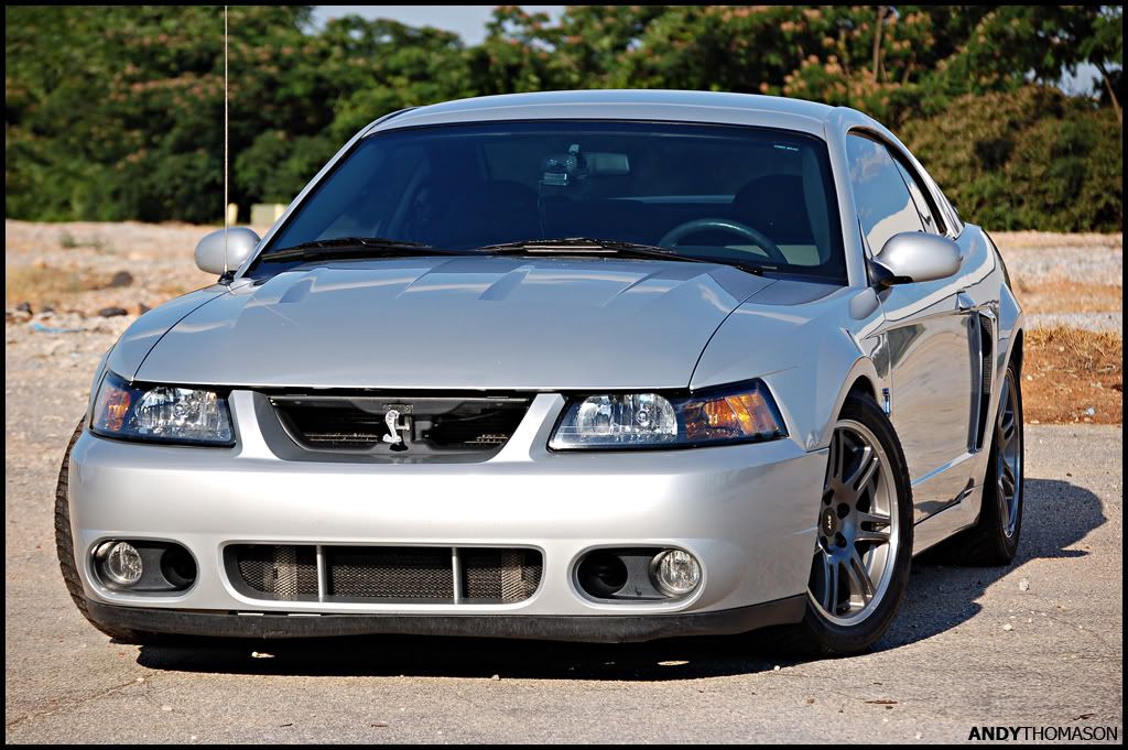 Mustangshoot9.jpg