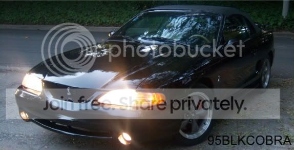 95blkcobra.jpg