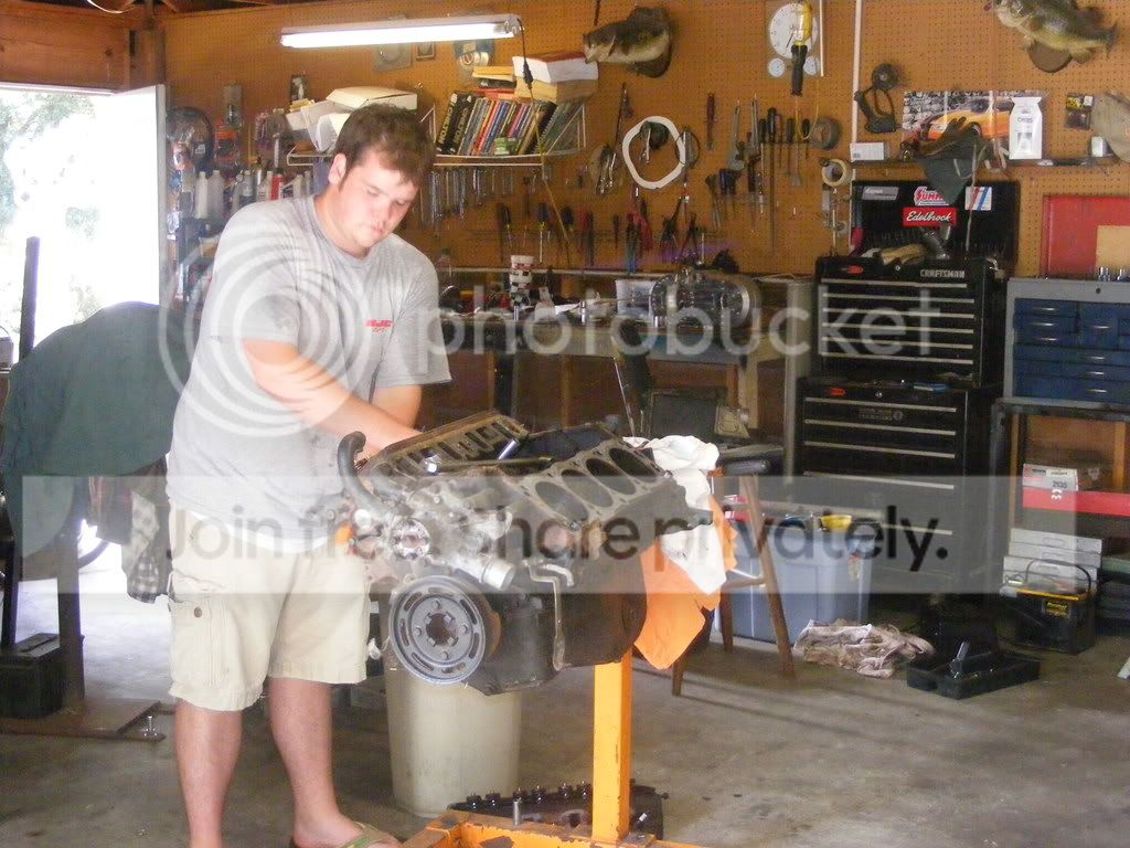 laurelpicsand50020.jpg