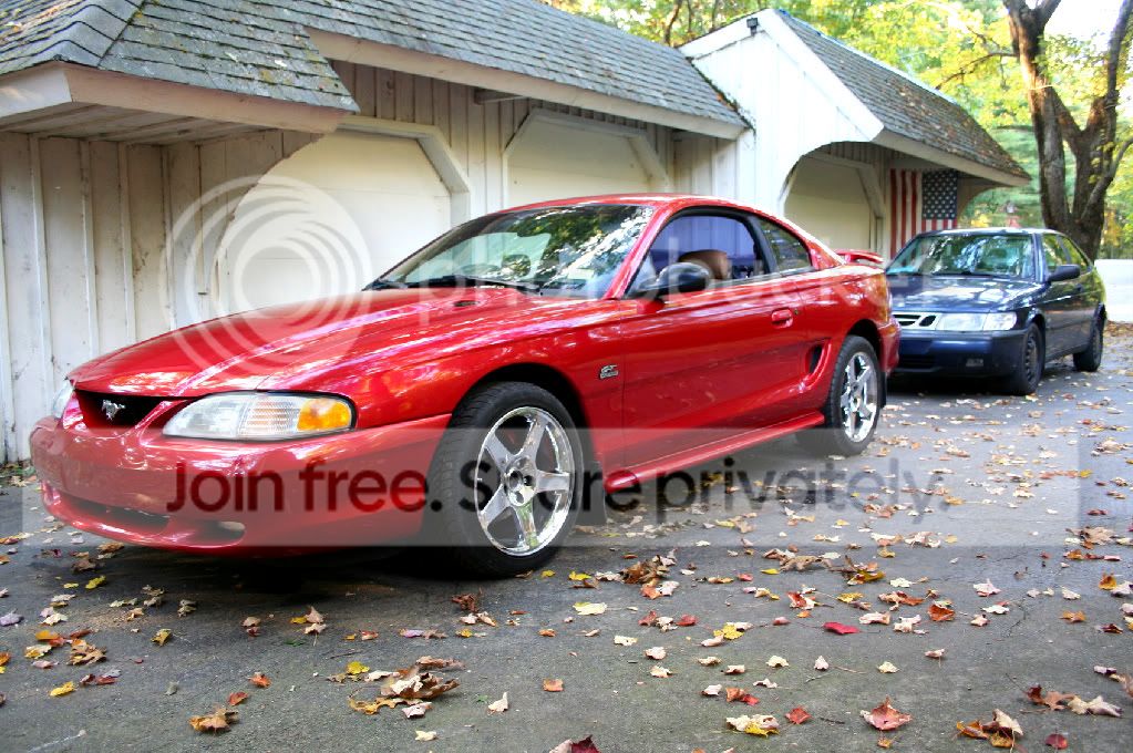 mustang1024.jpg