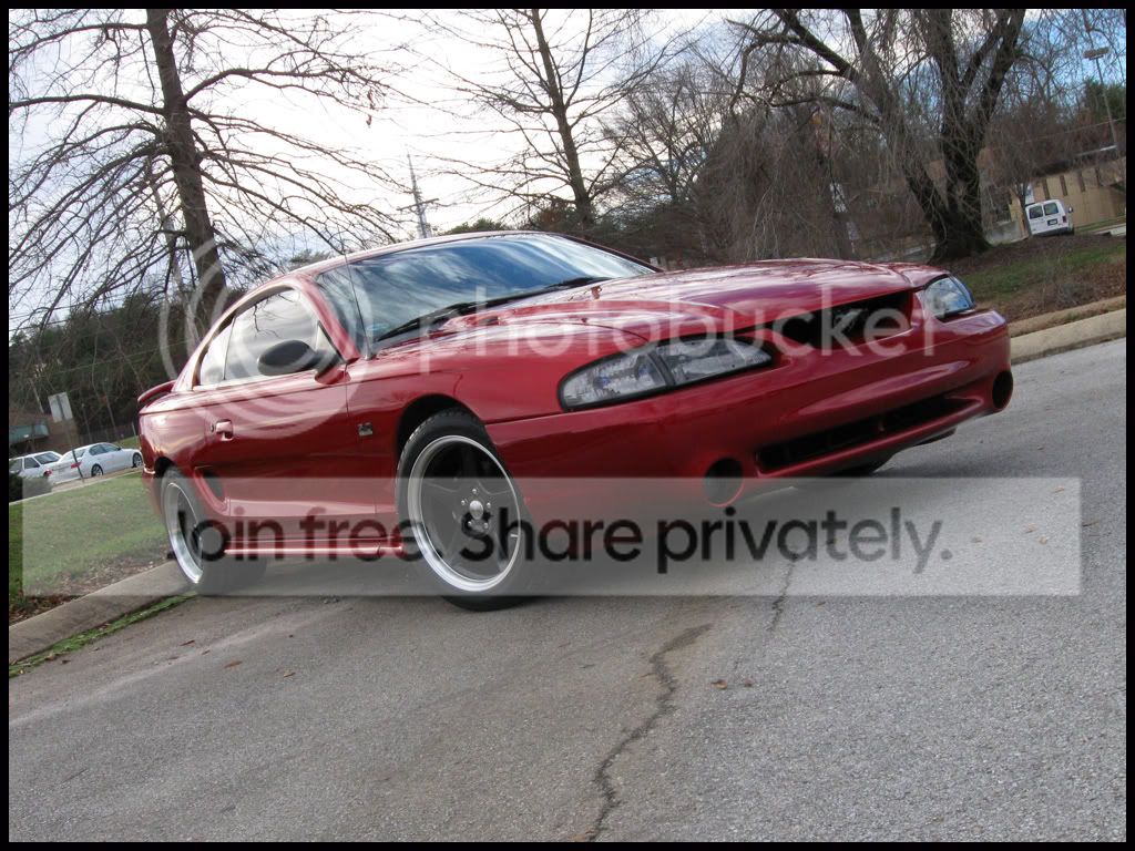 stang011-1.jpg