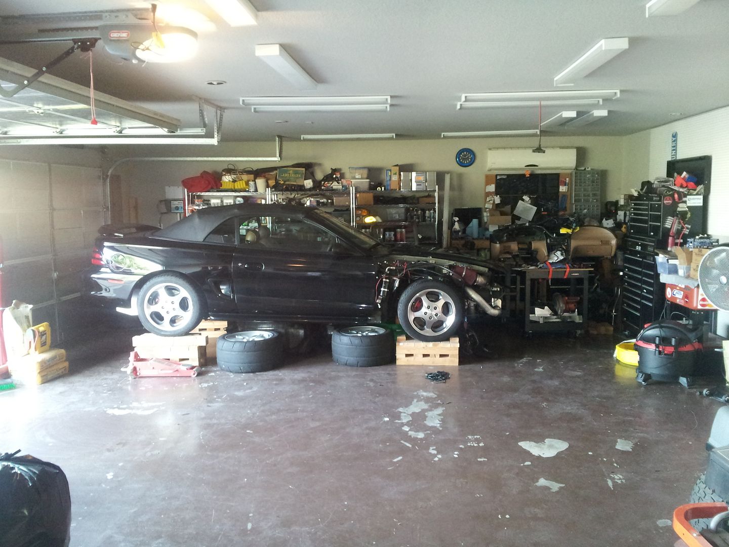 20130415_084124.jpg