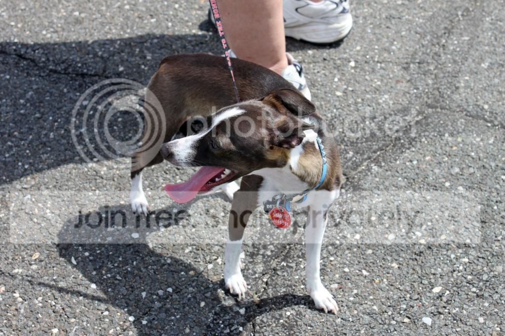 IMG_9765_zps5c8d6bab.jpg