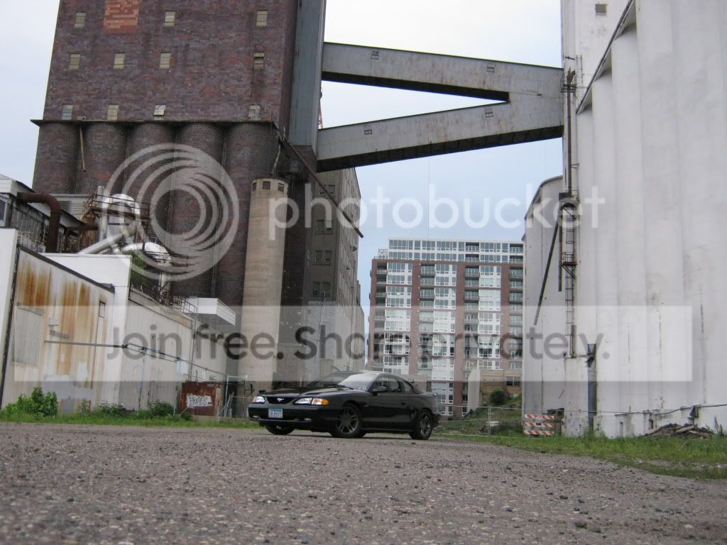 IMG_0392.jpg