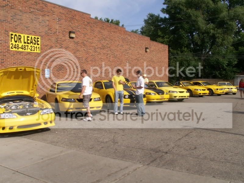 Mustangs056.jpg