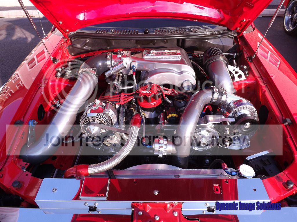 4a2e4674.jpg
