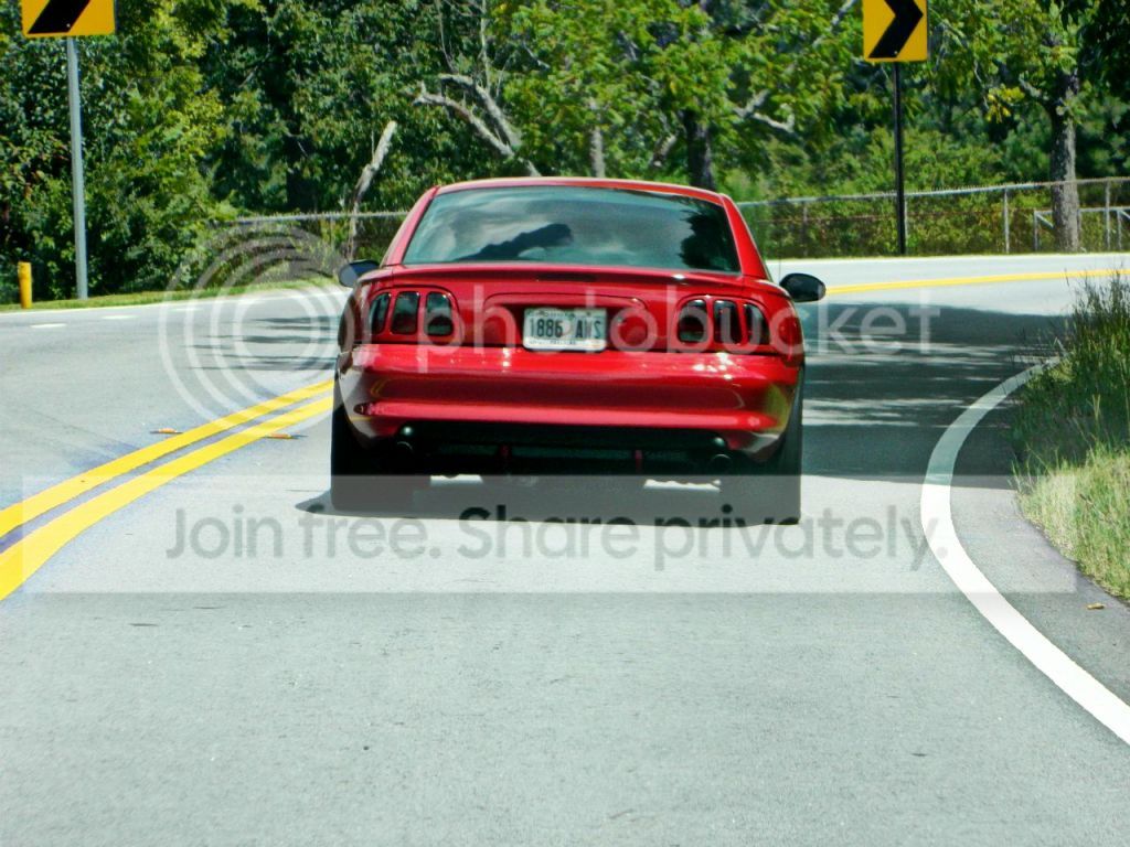 rollin010.jpg
