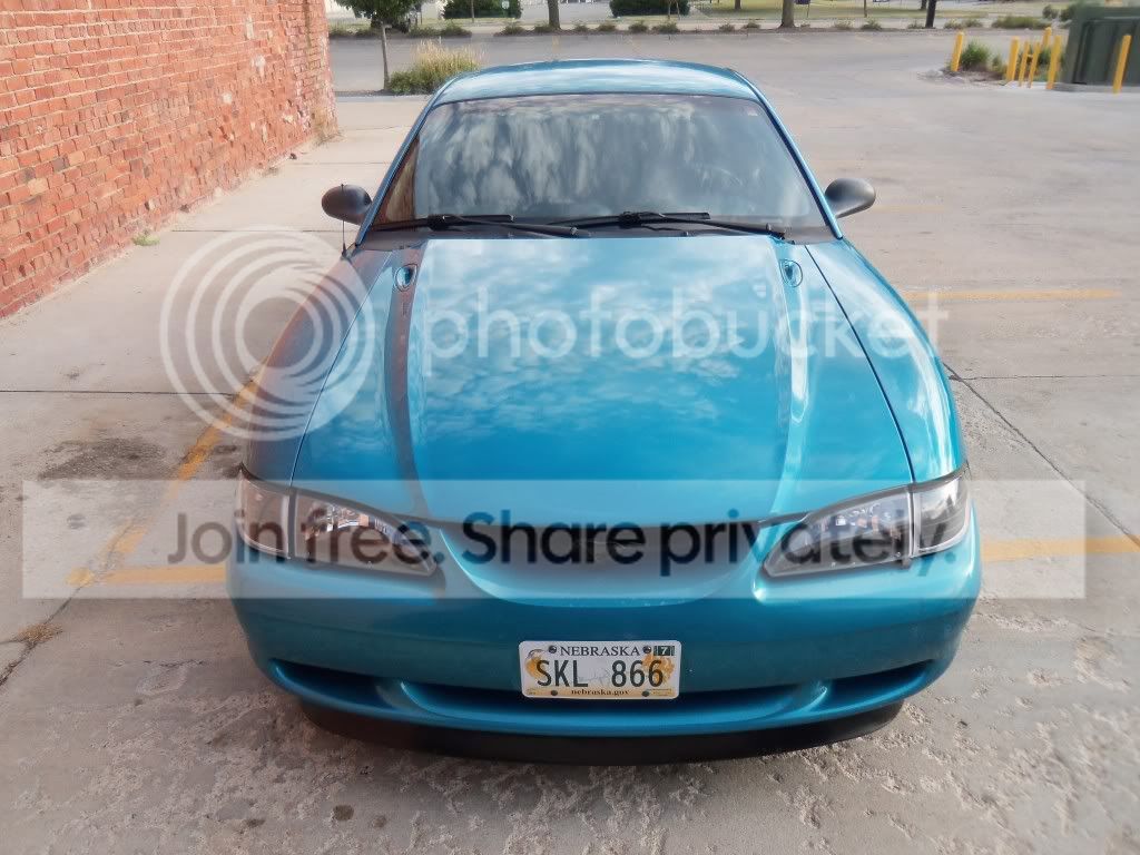mustangisles003.jpg