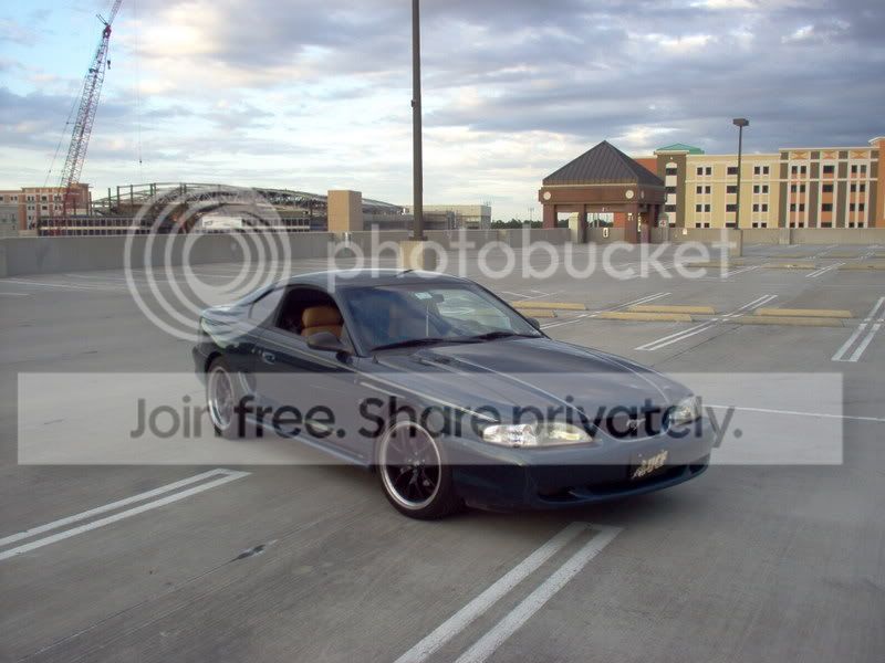 IM000779.jpg