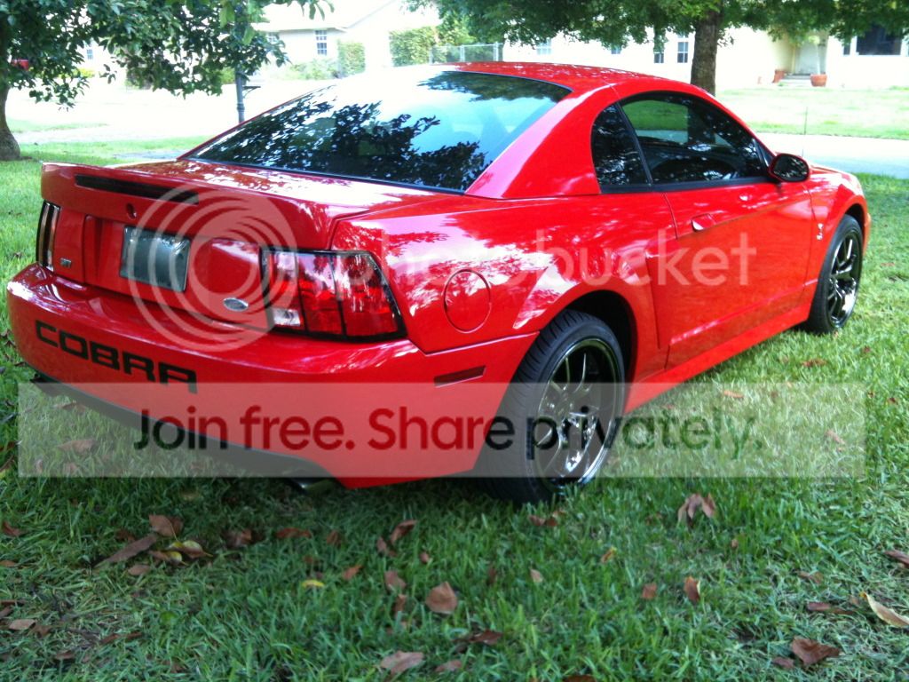 COBRA1.jpg