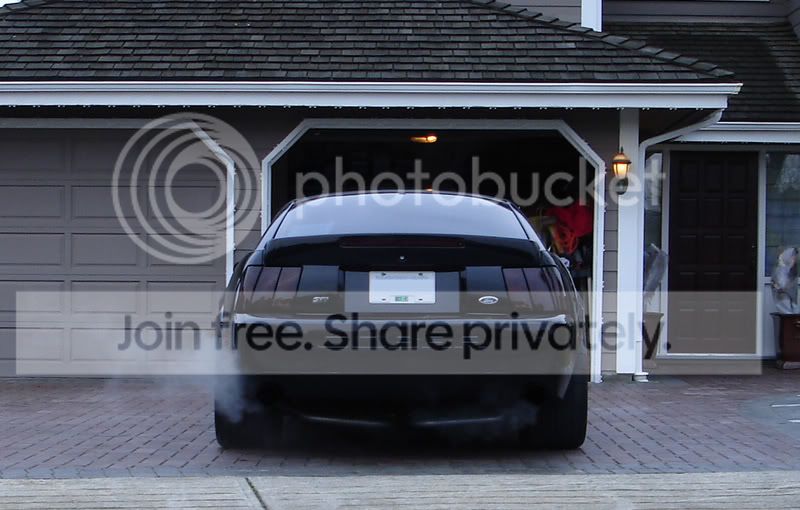 tint.jpg