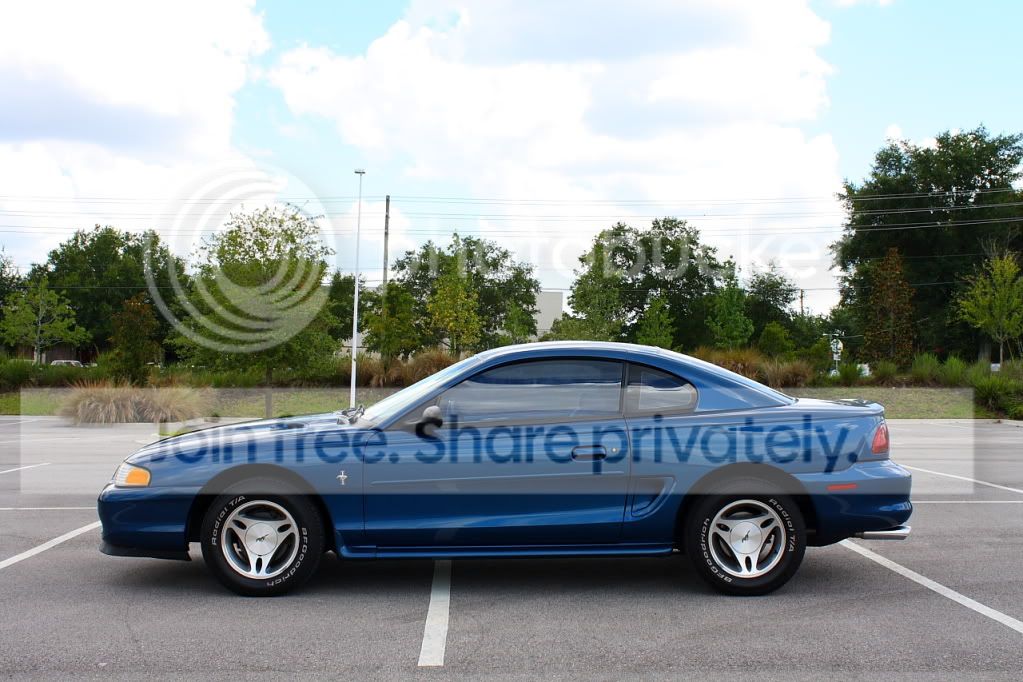 IMG_0904smaller.jpg