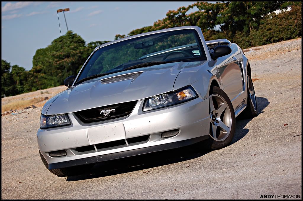 Mustangshoot2.jpg